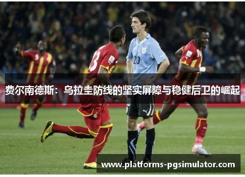 费尔南德斯：乌拉圭防线的坚实屏障与稳健后卫的崛起