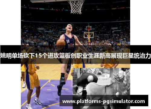 姚明单场砍下15个进攻篮板创职业生涯新高展现巨星统治力