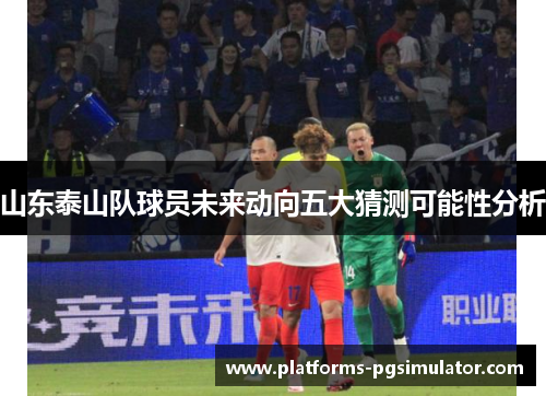 山东泰山队球员未来动向五大猜测可能性分析 山东泰山队球员未来动向五大猜测可能性分析