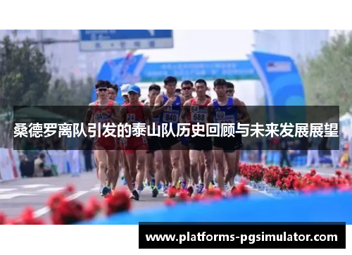 桑德罗离队引发的泰山队历史回顾与未来发展展望 桑德罗离队引发的泰山队历史回顾与未来发展展望