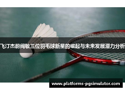飞汀杰蔚阀敏三位羽毛球新星的崛起与未来发展潜力分析