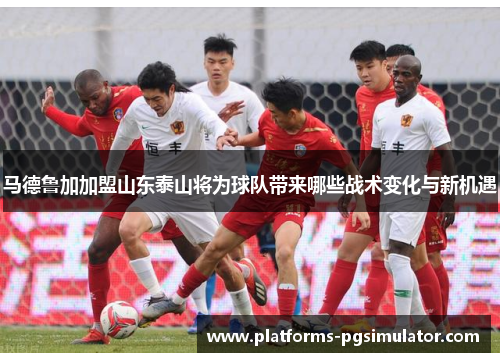 马德鲁加加盟山东泰山将为球队带来哪些战术变化与新机遇